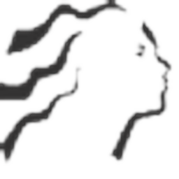 Carolina College of Hair Design Inc logo