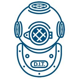 Divers Institute of Technology logo